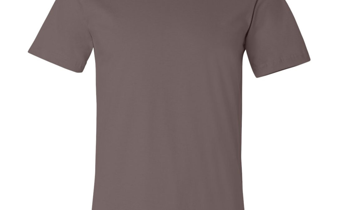 Bella Canvas Jersey Tee 3001