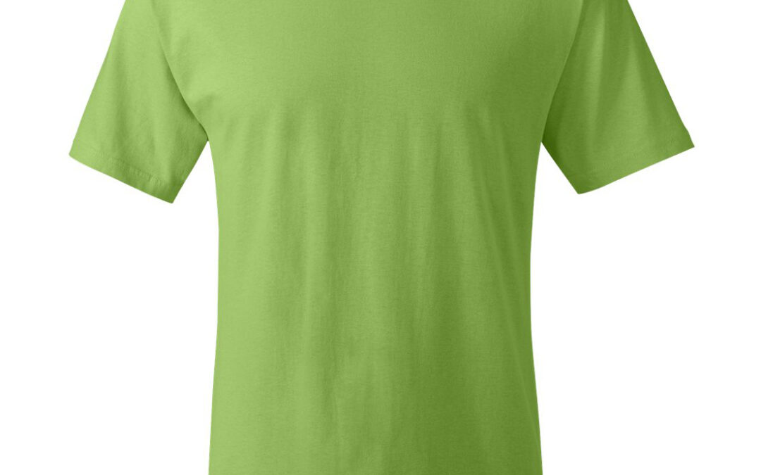 Hanes Essentials Cotton Tee 5280