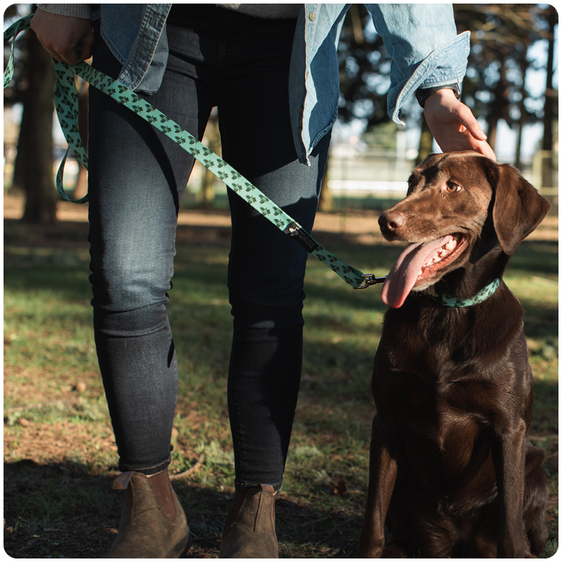 Pet Gear Menu